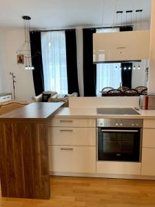 Kuchyň nebo kuchyňský kout v ubytování Art Loft Baden-Baden