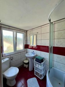 a bathroom with a toilet and a sink and a shower at Casa Eliana in Călimăneşti +23 photos