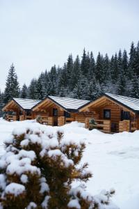 Billede fra billedgalleriet på Hanul și Păstrăvăria Țibău i Cîrlibaba