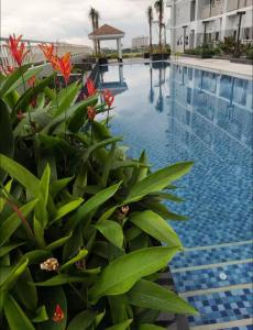 Bazén v ubytování Levi & Moon's Home nebo v jeho okolí + 7 fotografií