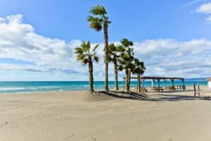 a row of palm trees on a beach with the ocean at Sol Arena Y Mar in Morche