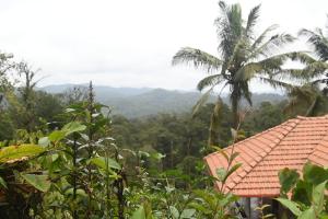 Gallery image of Dishaa Home Stay in Madikeri