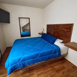 Hacienda CienguillaにあるCasa de Campo Bungalows & Suitesのベッドルーム(青いベッド1台、鏡付)