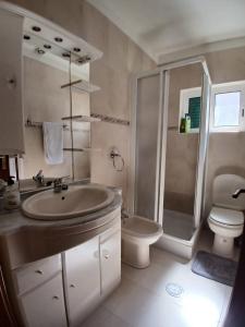 a bathroom with a sink and a shower and a toilet at Alojamento Cristina in Chaves +13 photos