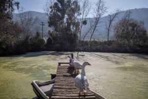 Příroda nedaleko chaty