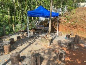 a blue tent with a piano and wooden stumps at Bambus Alley in Wayanad +9 photos