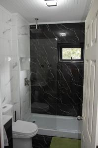a bathroom with a toilet and a glass shower at Cabaña Vista ShangriLa, Las Trancas in Las Trancas