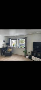 TV a/nebo společenská místnost v ubytování Casa Aurora Appartement