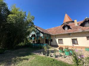an old house with potted plants in the yard at Prenoćište Majkin salaš in Palić