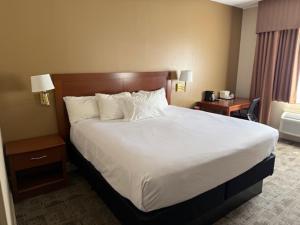 a hotel room with a large bed with white sheets and pillows at Comfort Inn Pikeville in Pikeville