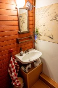 a bathroom with a sink and a mirror at Wildlife Appartement - Wilderness Adventures Sweden in Bispgården