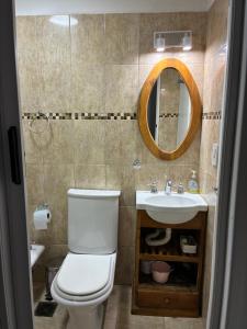 a bathroom with a toilet and a sink and a mirror at Ulen in Ushuaia +8 photos