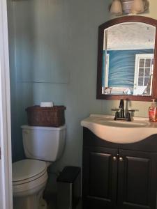 a bathroom with a toilet and a sink and a mirror at La Casa delle Pesche in Georgetown +10 photos