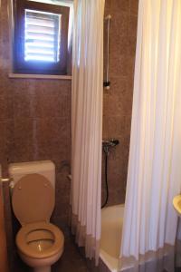 a bathroom with a toilet and a shower curtain at Apartments and Rooms Villa Mir in Zaton +42 photos