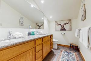 a bathroom with a sink and a toilet at Booth Falls Chalet in Mid Vail +17 photos