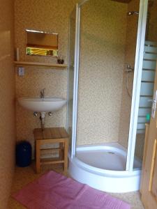ein Bad mit einer Dusche und einem Waschbecken in der Unterkunft Tauhäusl in Innervillgraten
