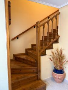 a wooden staircase in a home with a plant at Casa Manu in Santa Cilia de Jaca