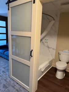 a bathroom with a white toilet in a room at Comfort Inn Pikeville in Pikeville