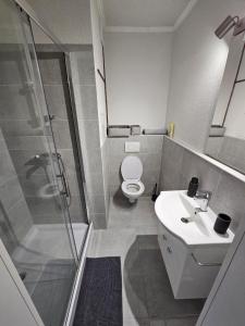 a bathroom with a shower and a toilet and a sink at Apartment Park - Air-conditioned in Šamorín +11 photos