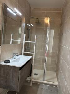 a bathroom with a sink and a shower at EDEN-RÉSIDENCE Le ARUBA Vue Mer et Piscine in Sainte-Luce +3 photos