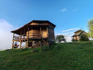 a wooden house on top of a grassy hill at Cabana cu hamac in Prisaca Dornei +43 photos