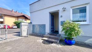a house with a blue door and a potted plant at Gemütlicher Bungalow in Stadtnähe in Aschaffenburg