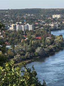 a view of a river with trees and buildings at Apartament Soroca in Soroca +4 photos