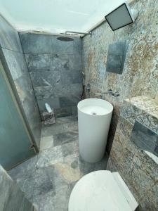 Gesher HaZiwにあるThe Margalit Suite - Gesher Hazivのトイレとシャワー付きのバスルーム