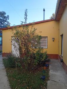 Zahrada ubytování Apart Vital