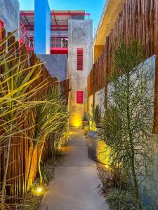 un chemin à travers une cour avec des plantes et un bâtiment dans l'établissement Hotel-Style Stay with Pool, à Mérida