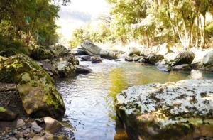 a stream of water with rocks and trees at Cabana Mirante do Caeté in Alfredo Wagner