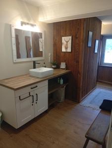 ein Badezimmer mit Waschbecken und Spiegel in der Unterkunft Maison au pied des montagnes ariégeoises in Quié