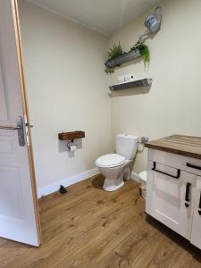 ein Bad mit WC und Holzboden in der Unterkunft Maison au pied des montagnes ariégeoises in Quié