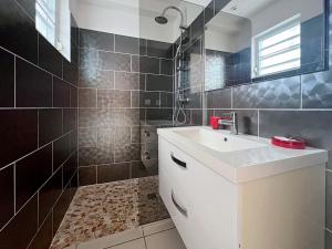 Saint MartinにあるMango Rouge, 2 bedrooms & poolの洗面台と鏡のあるバスルーム +9枚の写真