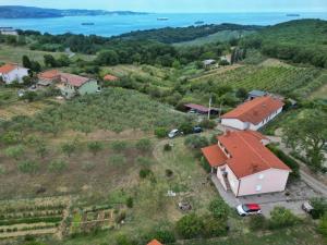 an aerial view of a house on a hill at House Barizoni in Ankaran