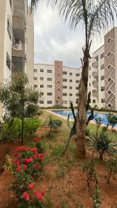 a garden with a palm tree and a building at Bel appartement in Casablanca