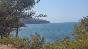 Una vista del océano desde una colina con árboles. en Tenes centre, en Ténès