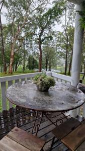a potted plant sitting on top of a table at Tiny home mountain view in Ocean View