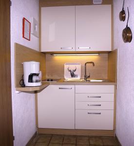 Kuchyň nebo kuchyňský kout v ubytování Apartmenthaus Jagdhof