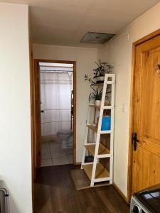 a bathroom with a toilet and a ladder in a room at Cabaña in Coihaique