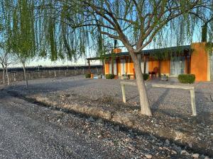 a bench next to a tree in front of a building at Refugio exclusivo entre Viñedos y Cordillera in Ciudad Lujan de Cuyo