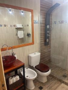 a bathroom with a toilet and a sink and a shower at Refugio exclusivo entre Viñedos y Cordillera in Ciudad Lujan de Cuyo