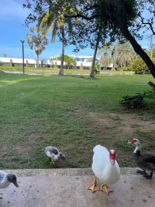 Fotografie z fotogalerie ubytování Acogedor Apto Con Vista Panorámica en Tucacas v destinaci Tucacas