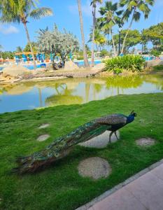 Fotografie z fotogalerie ubytování Acogedor Apto Con Vista Panorámica en Tucacas v destinaci Tucacas