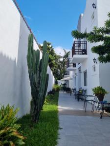 einen Kaktus im Innenhof eines Gebäudes in der Unterkunft Villa Alebrije Cozumel in Cozumel