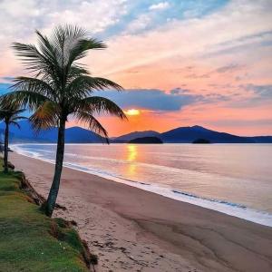 a palm tree on a beach at sunset at A Ver o Mar Guest House in Caraguatatuba