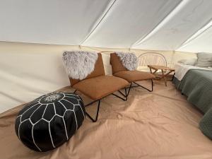 Χώρος καθιστικού στο The Nest at Hummingbird Hill - Glamp tent