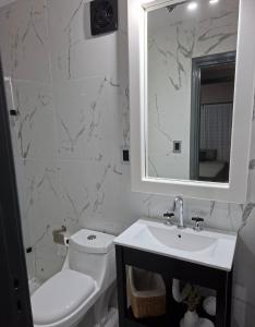 a bathroom with a toilet and a sink and a mirror at Neptuno VI in Mar del Plata