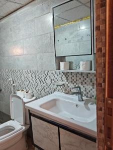 a bathroom with a sink and a toilet at Bedouin Lifestyle Camp in Wadi Rum
