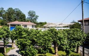 een groep bomen voor een gebouw bij Hotel Mariñerune in Mungia